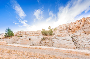 Wall Mural - Sunrise in ruins of Petra, Jordan.