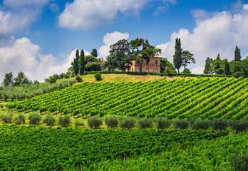 Wall Mural - rural landscape with houses standing alone in the province of Tu