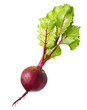 Beetroot with leaves