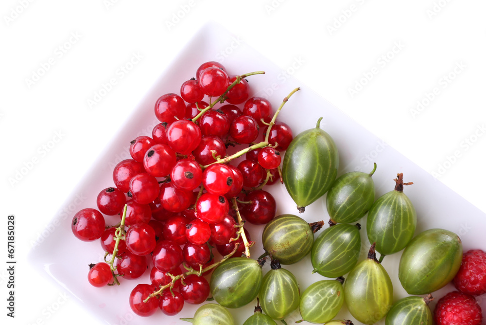 Forest berries on plate, isolated on white