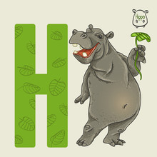 Letter H Hippo