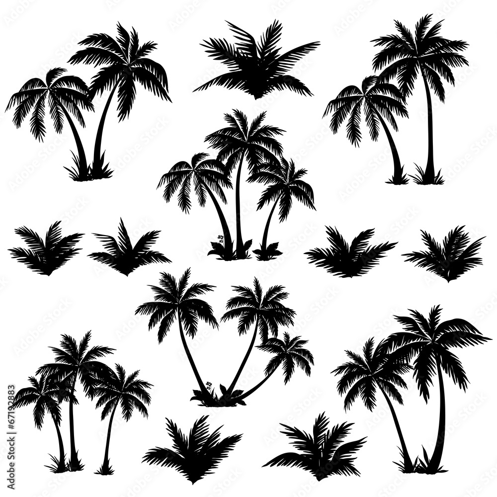 Tropical palm trees set silhouettes - obrazy, fototapety, plakaty 