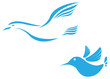 Flying bird abstract icon