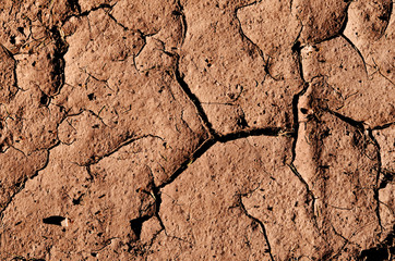 Canvas Print - cracked dried ground