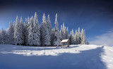 Fototapeta Na ścianę - Winter fairy tale after heavy snowfall in the mountain forest