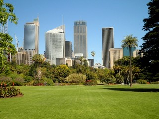 Sydney City Park