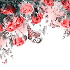 Fotomurales - Bouquet of delicate roses and butterfly, floral background