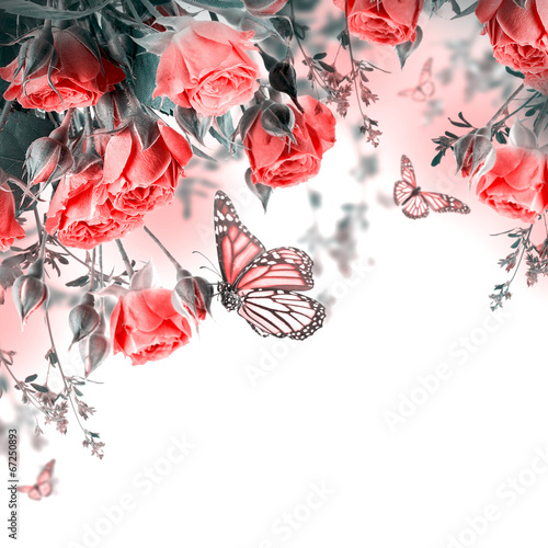 Naklejka na szybę Bouquet of delicate roses and butterfly, floral background