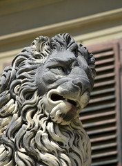 Wall Mural - Florentine lion