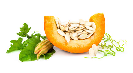 Pumpkin with pumpkin seeds