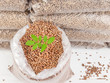 wood pellets in a Sack with tree sapling