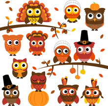 Thanksgiving And Autumn Themed Vector Owl Collection With Branch