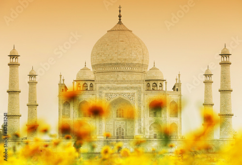 Plakat na papierze fotorealistycznym Taj Mahal w świetle słońca, agra, uttar pradesh, indie