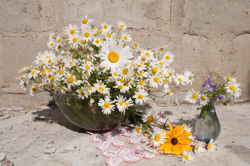 Wall Mural - still life bouquet with chamomiles