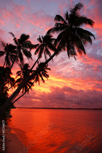 Board z aluminiowym obramowaniem Silhouetted palmy na plaży o zachodzie słońca, ofu island, tonga
