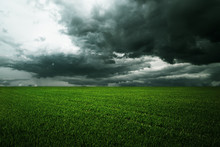 Storm Dark Clouds Over Field With Grass