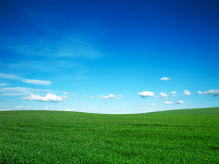 Wall Mural - green field