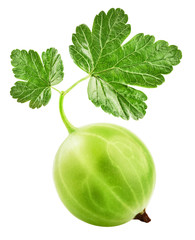 Wall Mural - Gooseberries