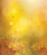 Vector Autumnal Leaves On Bokeh Background.