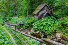 An Old Watermill By The Stream In The Forest In The Spring