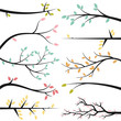 Vector Collection of Tree Branch Silhouettes