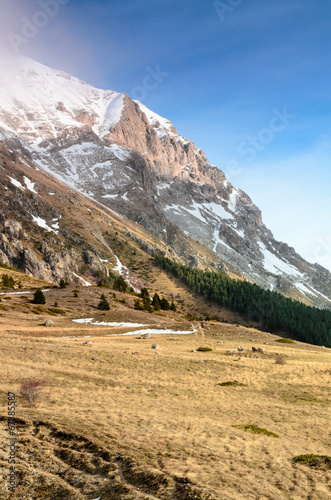 Fotoboard na płycie Wektor monte