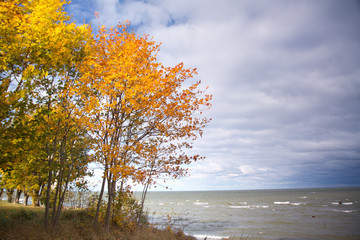 Wall Mural - Baltic sea in autumn