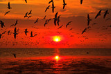 Fototapeta Zachód słońca - Seagulls flying in the sunset
