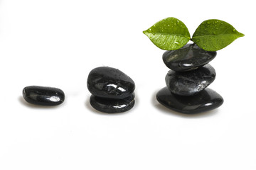 Zen pebble and green leaf