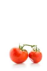 Wall Mural - Tomato isolated on white