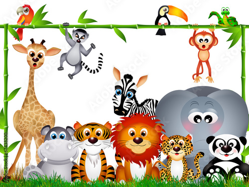 Fototapeta na wymiar wild animals on white background