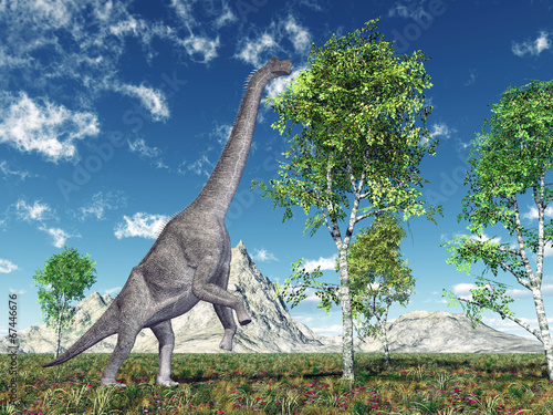 Obraz w ramie Dinosaur Brachiosaurus