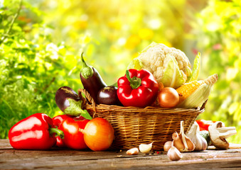 Fresh Organic Bio Vegetable in a Basket over Nature Background