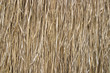 © 88studio - rice straw background