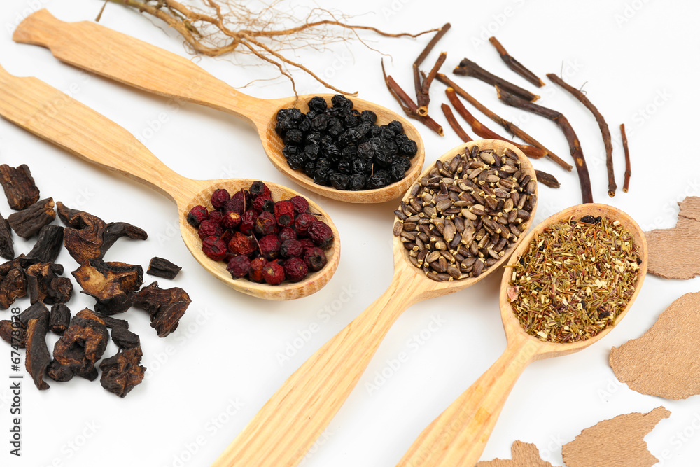 Traditional chinese herbal medicine ingredients, close-up