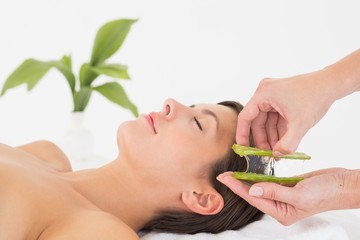 Wall Mural - Attractive woman receiving aloe vera massage at spa center