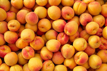 Background Of Fresh Apricots