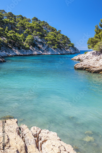 Naklejka samoprzylepna Calanques portu pin