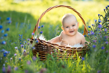 Wall Mural - small naked smiling child sitting in a basket