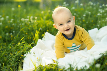 Wall Mural - little child lying on a diaper the grass