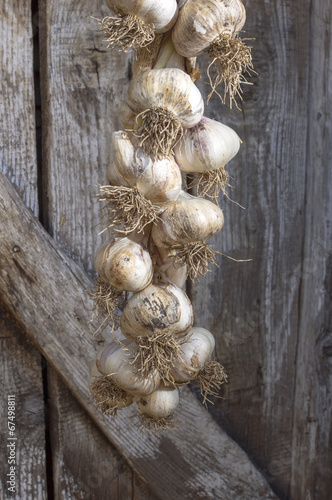 Naklejka na szybę Organic garlics hanging on a rustic wooden wall.