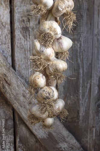 Naklejka na meble Organic garlics hanging on a rustic wooden wall.