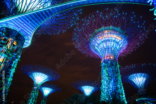 Photo The Supertree at Gardens by the Bay by night