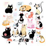 Fototapeta Koty - Cheerful set of cats
