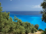 Fototapeta Krajobraz - olive tree and view of the Kamari beach Oia Santorini Greece