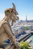 Fototapeta Paryż - Gargoyle Paris