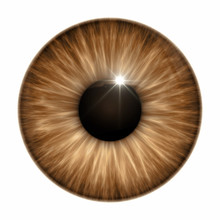 Brown Eye Texture
