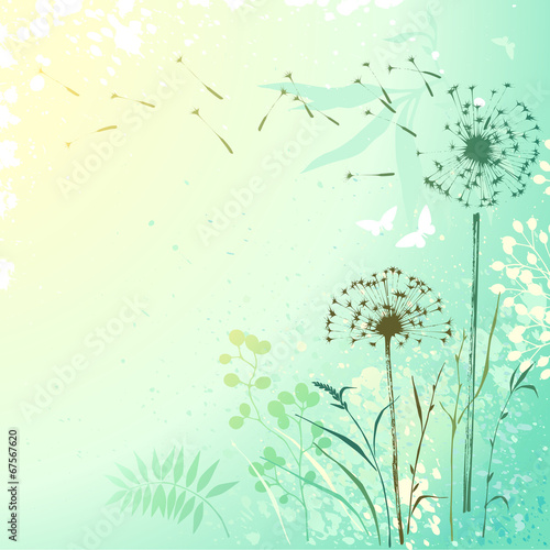 Naklejka dekoracyjna Fresh Dandelion Background