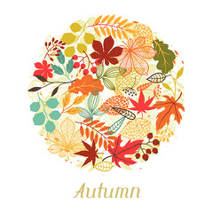 Wall Mural - Background of autumn leaves in shape for greeting cards.