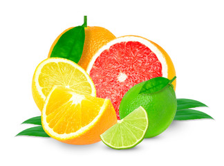 Wall Mural - citrus fruits